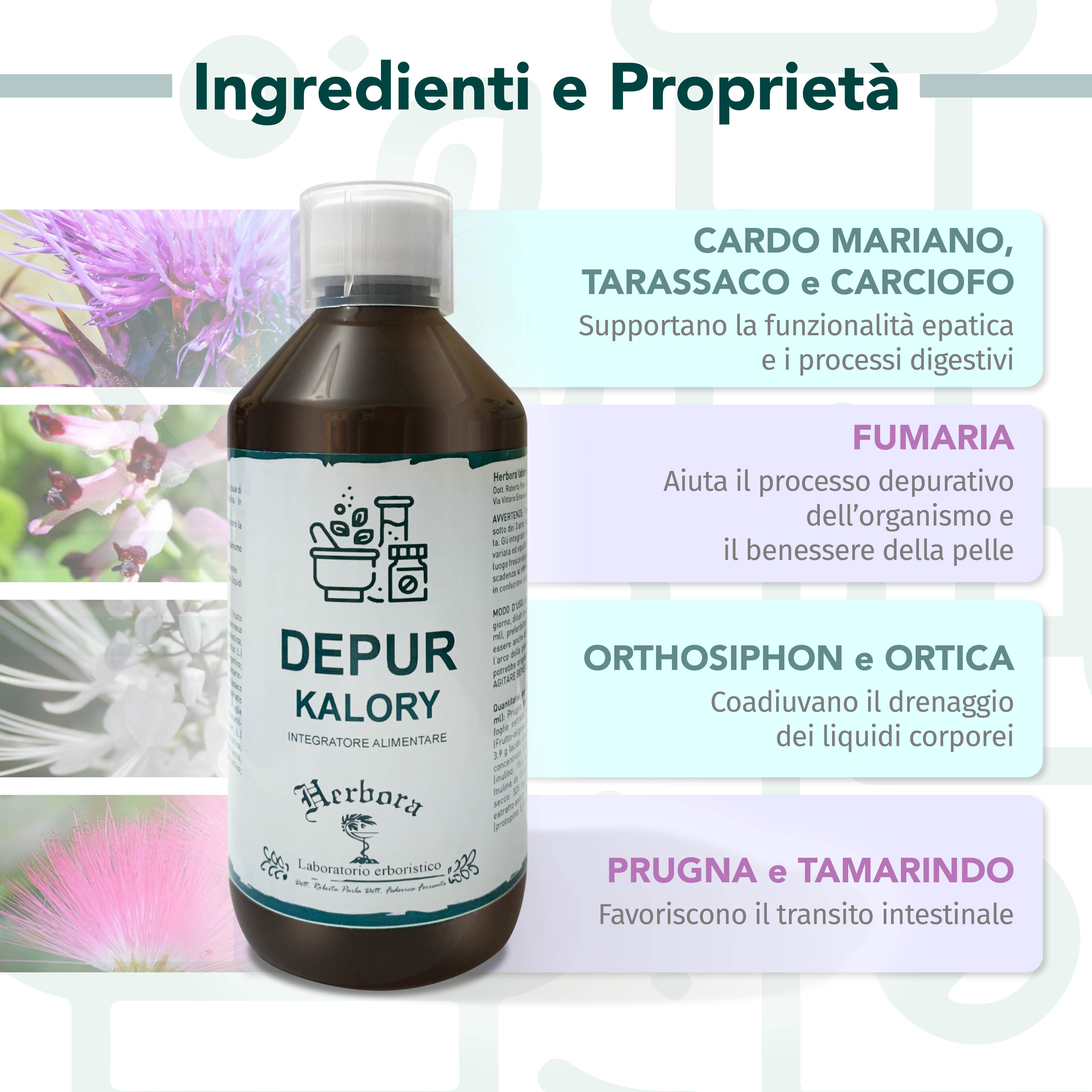 Infografica ingredienti Depurkalory